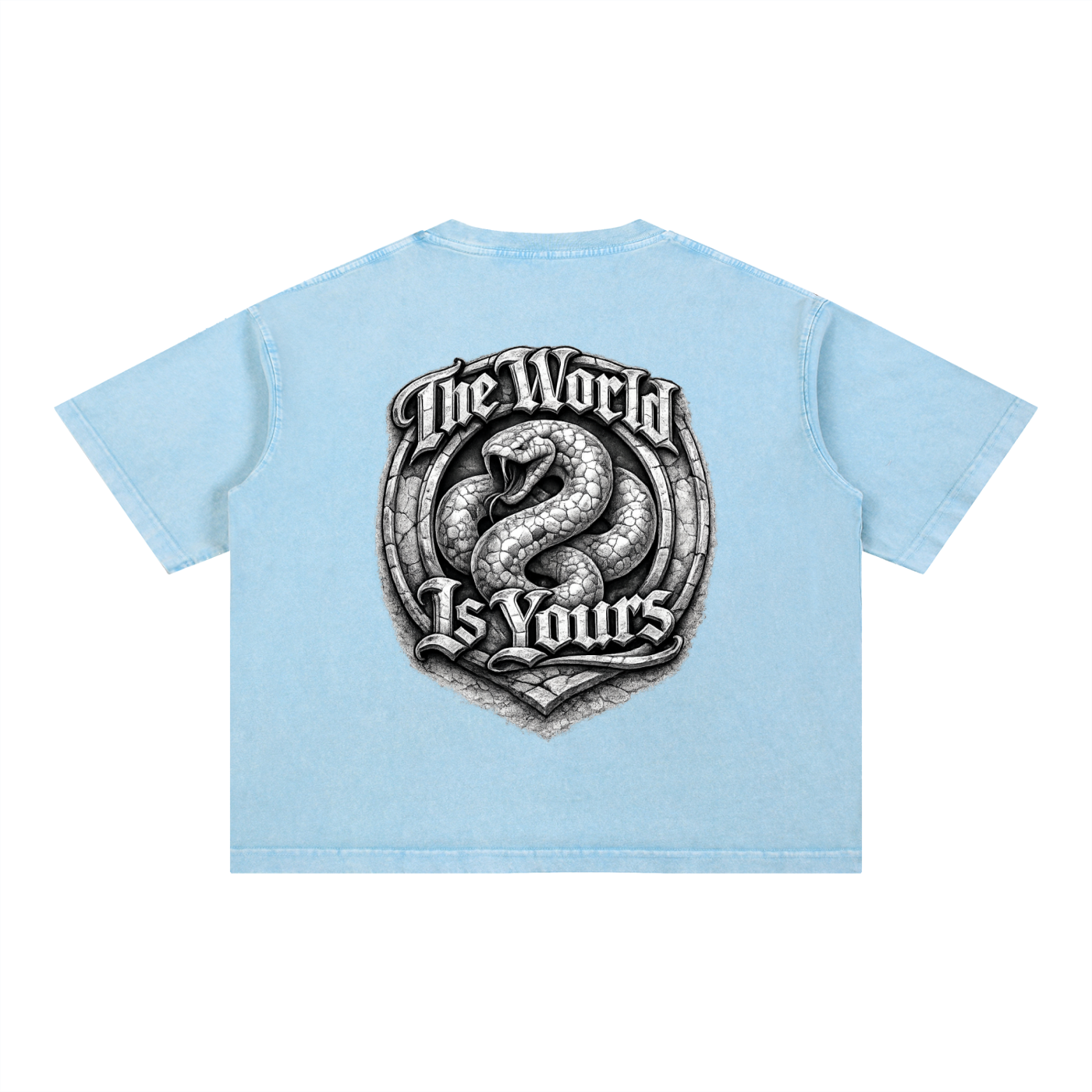 2500 Mineral Wash Boxy Cotton T-Shirt