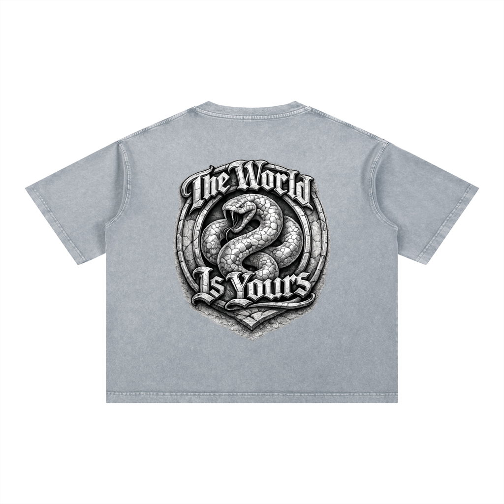 2500 Mineral Wash Boxy Cotton T-Shirt