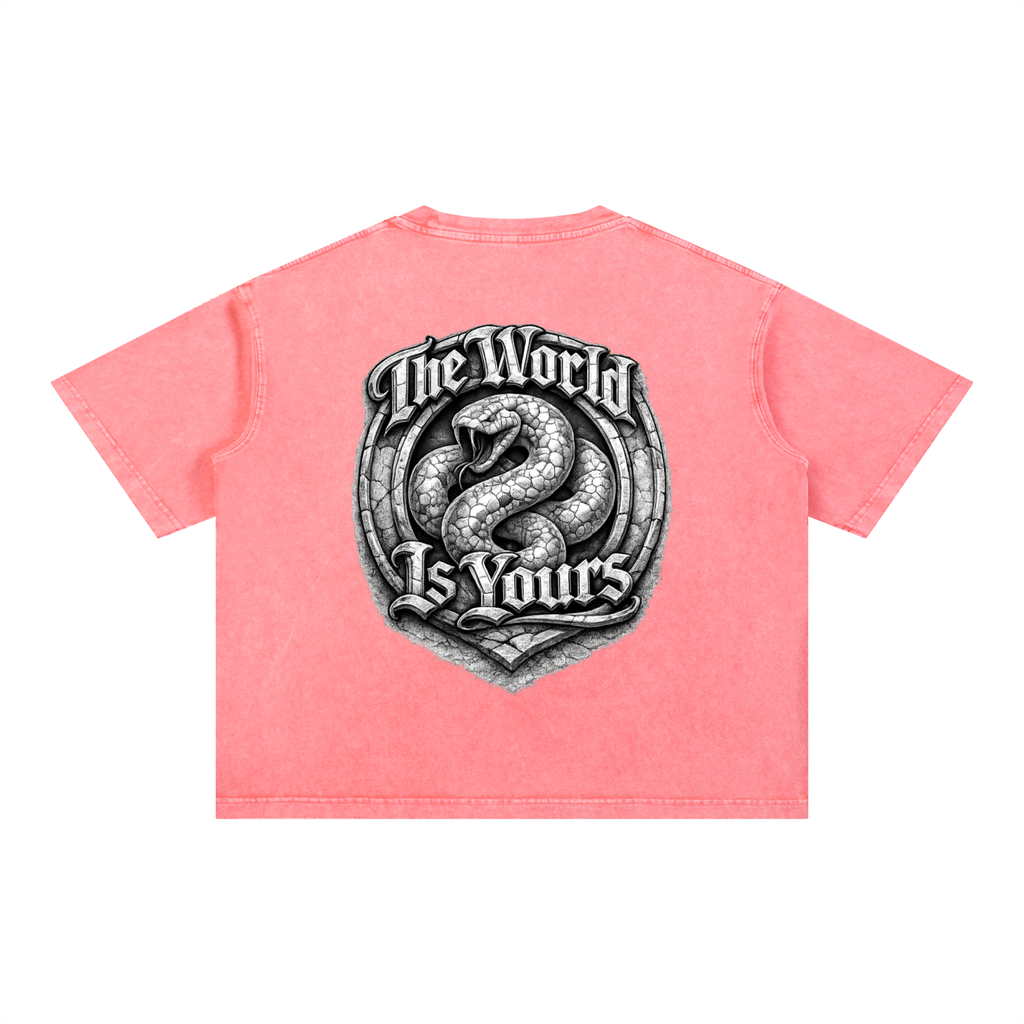 2500 Mineral Wash Boxy Cotton T-Shirt