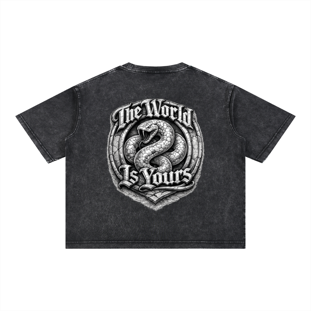 2500 Mineral Wash Boxy Cotton T-Shirt