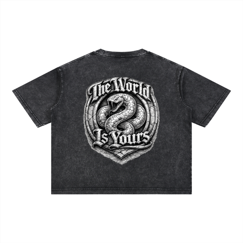 2500 Mineral Wash Boxy Cotton T-Shirt