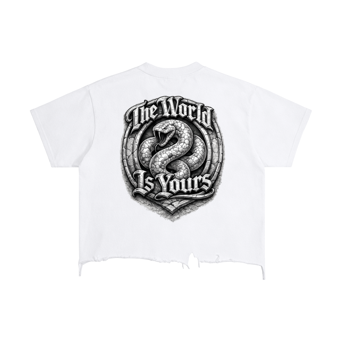 2500 Vintage Wash Boxy Distressed Hem T-Shirt